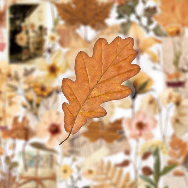 【大图释官方授权】100张复古干枯花朵树叶植物贴纸ins风氛围感素材小众手账装饰标签防水不干胶素材贴画文艺,淘宝优惠券,粉丝福利购,淘宝优惠卷