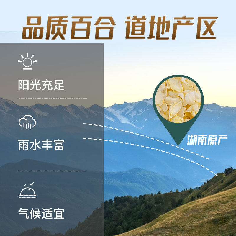 北京同仁堂百合90g/瓶煲汤熬粥食用可搭配莲子茯苓药房直发