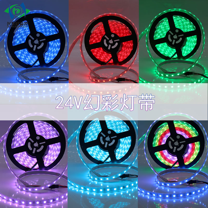 24V幻彩高亮48珠全彩灯带 LED软灯带60灯柔性灯16703 10mm超亮 - 图2