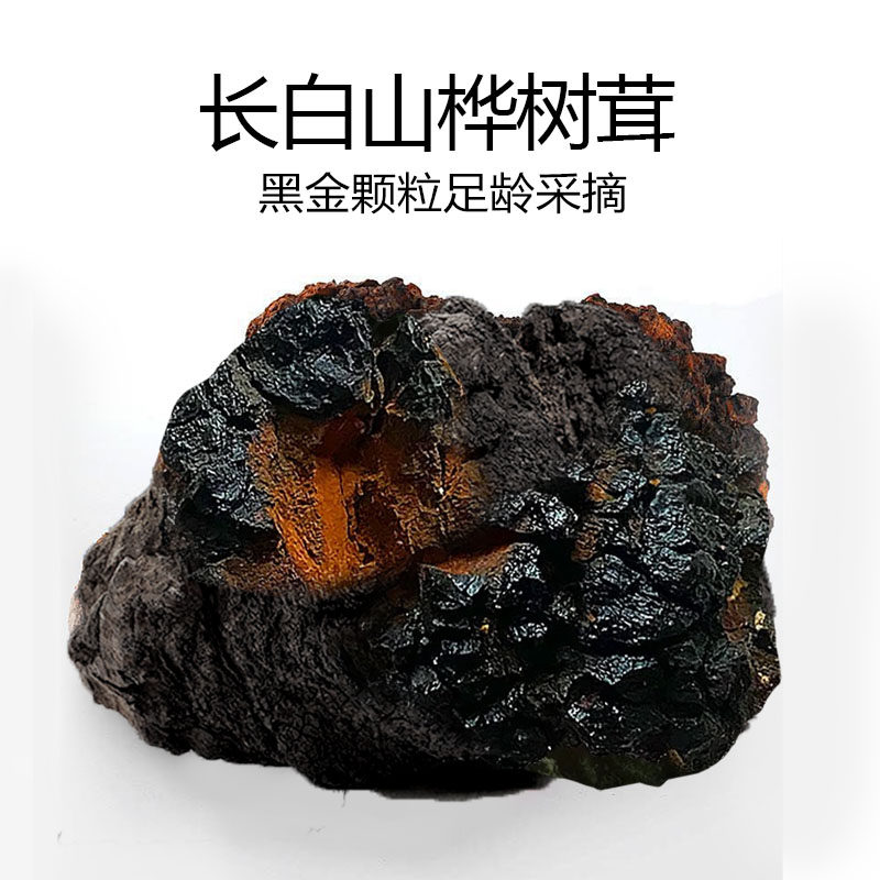 长白山桦树茸500g黑金块高品质桦褐孔菌正品白桦茸糖克星非俄罗斯 - 图2
