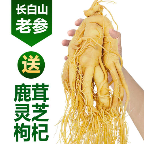 长白山正宗鲜人参煲汤泡酒专用高品质鲜参滋补养生吉林园参整枝参 - 图0