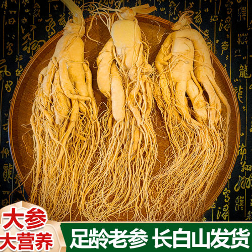 长白山正宗鲜人参煲汤泡酒专用高品质鲜参滋补养生吉林园参整枝参 - 图3