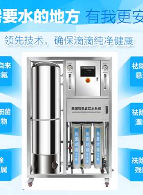 大型ro反渗透商用大流量净水设备滤水机水处理过滤器压力罐