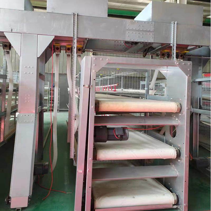 养殖框架笼厂家镀锌材质三层肉鸡笼全自动化肉鸡养殖设备厂家定制,淘宝优惠券,粉丝福利购,淘宝优惠卷