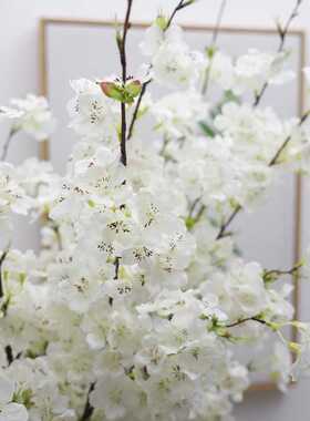 塑料仿真樱花  家居室内绢布装饰假花摆件 中式婚庆樱花仿真花