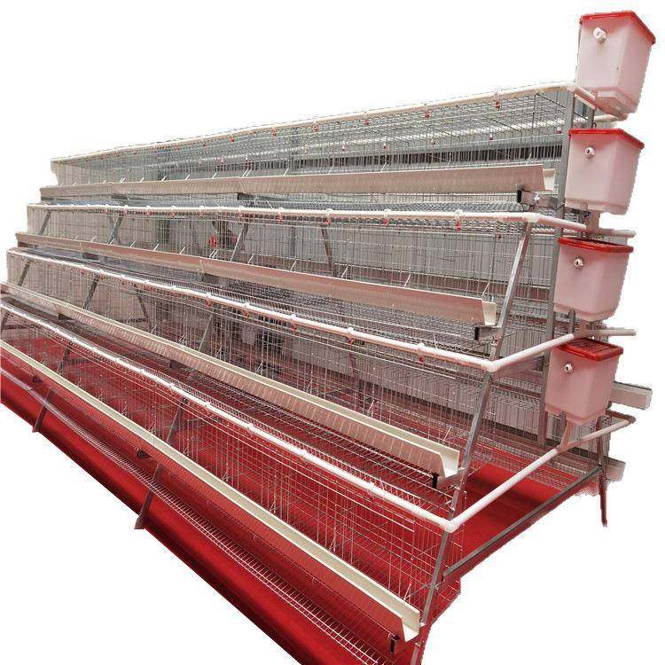 阶梯式蛋鸡笼三层四层阶梯式蛋鸡笼家禽养殖设备冷镀锌蛋鸡笼,淘宝优惠券,粉丝福利购,淘宝优惠卷
