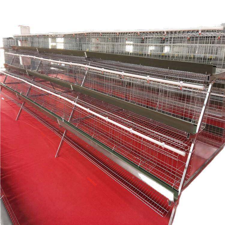 三层五门阶梯式蛋鸡笼A字型蛋鸡笼镀锌材质工厂直发外贸出口,淘宝优惠券,粉丝福利购,淘宝优惠卷