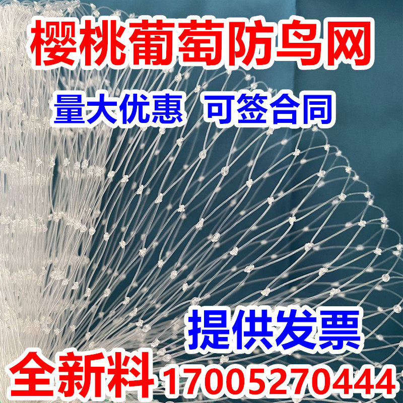尼龙防鸟网大棚果树樱桃葡萄梨树蓝莓果园防鸟用网养殖场鱼塘天网,淘宝优惠券,粉丝福利购,淘宝优惠卷