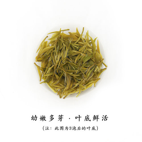 【绿茶·酩酊大醉】洞庭山碧螺春群体种 2026年头采花果香伍刻50g - 图2