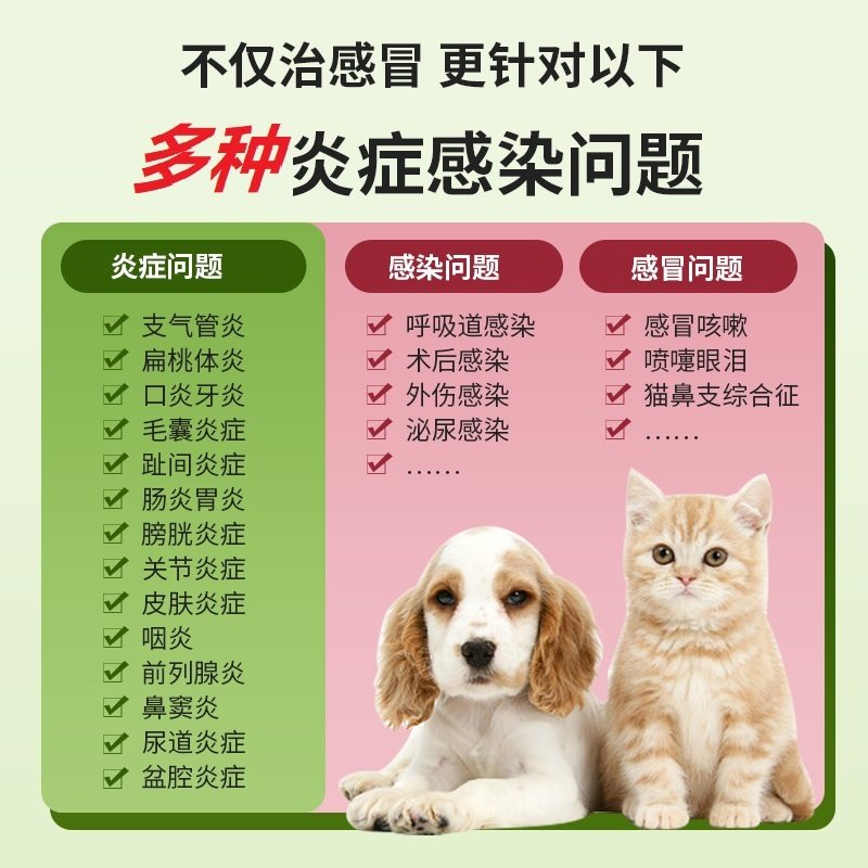 财咪阿莫西林克拉维酸钾片猫咪狗狗宠物用消炎药咳嗽鼻支,淘宝优惠券,粉丝福利购,淘宝优惠卷