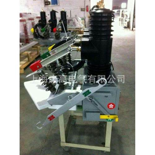 厂家直销ZW32M-12系列户外高压永磁式开关真空断路器 - 图2