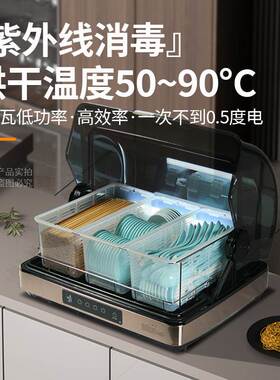 筷子消毒机商用密胺勺子调料味碟收纳盒免沥水餐厅酒店食堂烘干柜