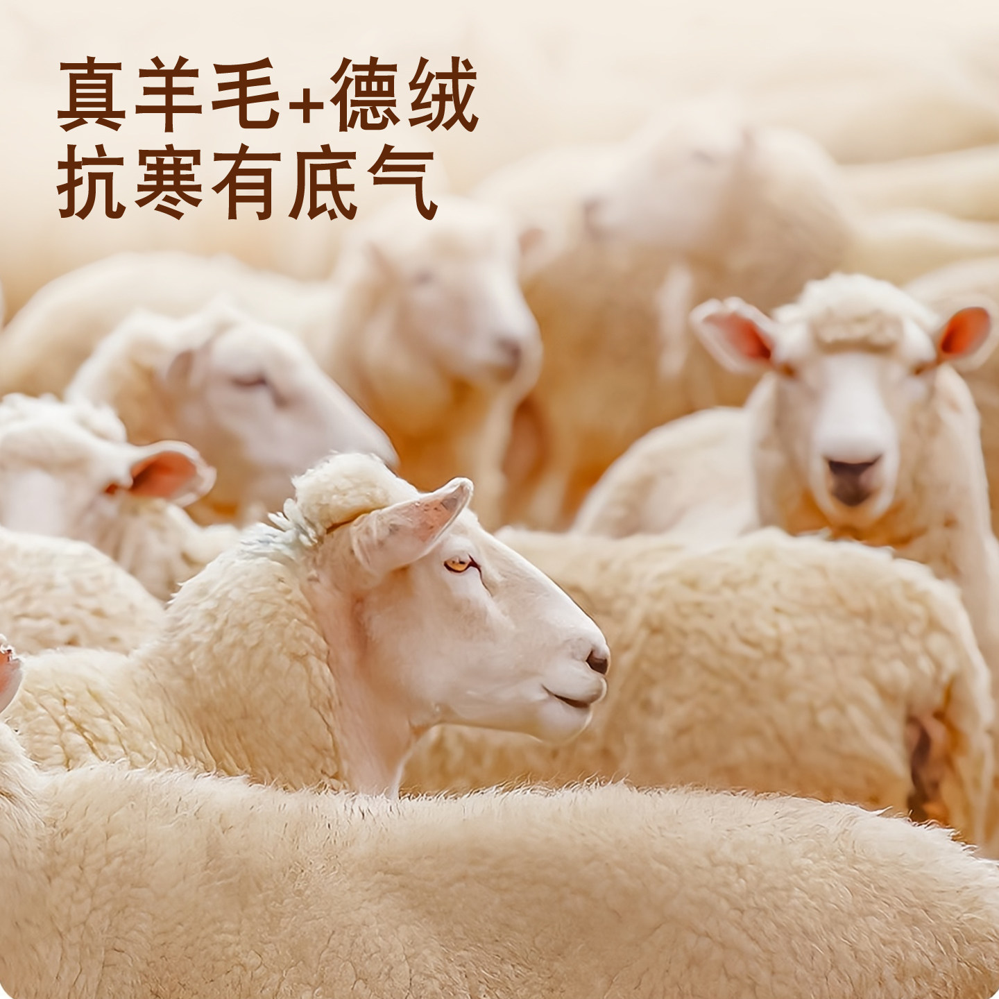 妙童岛儿童保暖背心秋冬加绒加厚内穿打底羊毛马甲男女童宝宝坎肩,淘宝优惠券,粉丝福利购,淘宝优惠卷