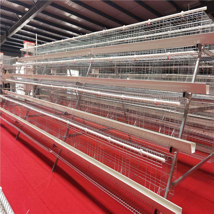 四层五门阶梯式蛋鸡笼A字型蛋鸡笼镀锌材质工厂直发外贸出口,淘宝优惠券,粉丝福利购,淘宝优惠卷