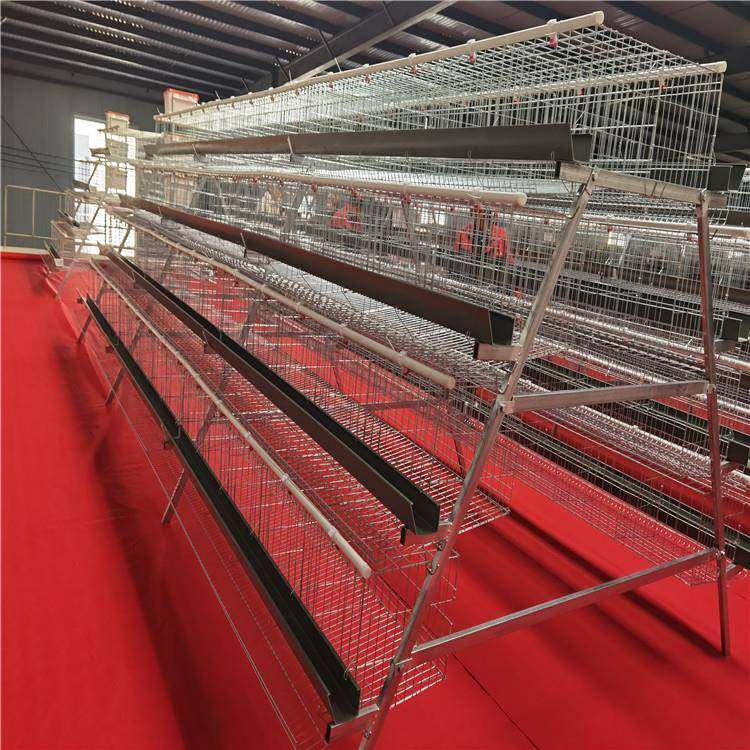 四层五门阶梯式蛋鸡笼A字型蛋鸡笼镀锌材质工厂直发外贸出口,淘宝优惠券,粉丝福利购,淘宝优惠卷