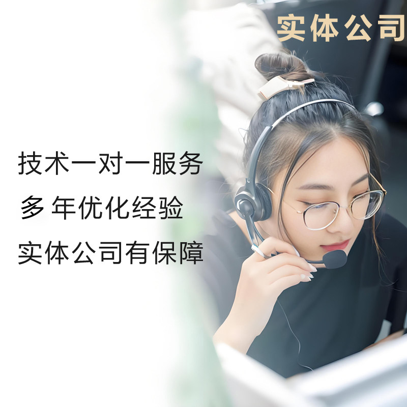 AI网络推广deepseek豆包网站SEO优化抖音搜索关键词排名上首页geo - 图2