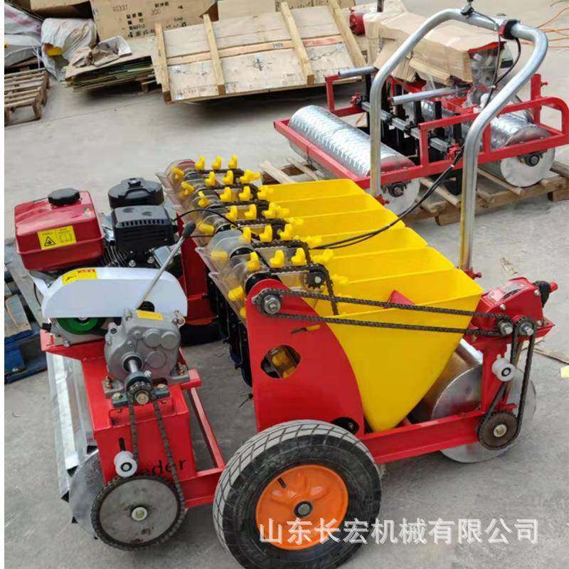 平原蒜头点播机农用自走式大蒜播种机锥形螺旋导种管大蒜机,淘宝优惠券,粉丝福利购,淘宝优惠卷