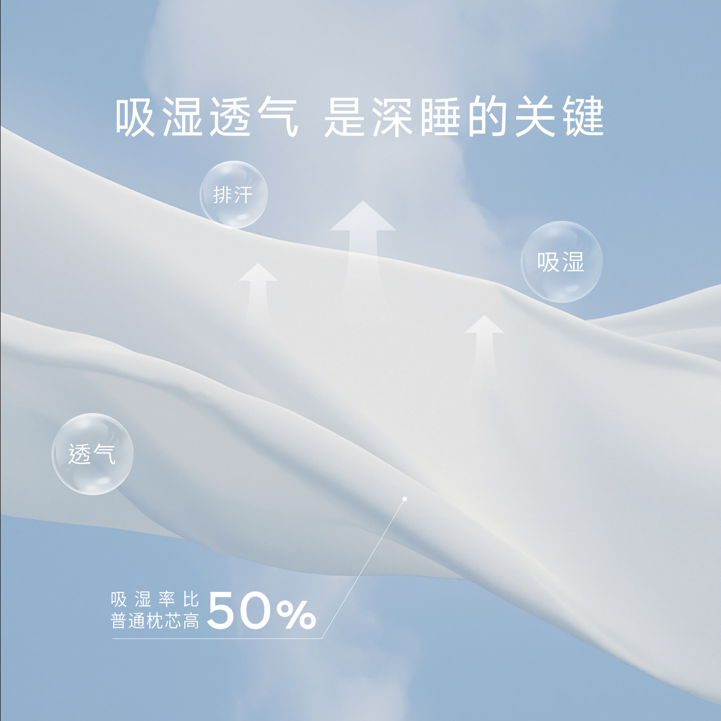 睡眠湾零压力惰性功能记忆枕荞麦双面硬枕头护颈椎助睡眠酒店同款,淘宝优惠券,粉丝福利购,淘宝优惠卷