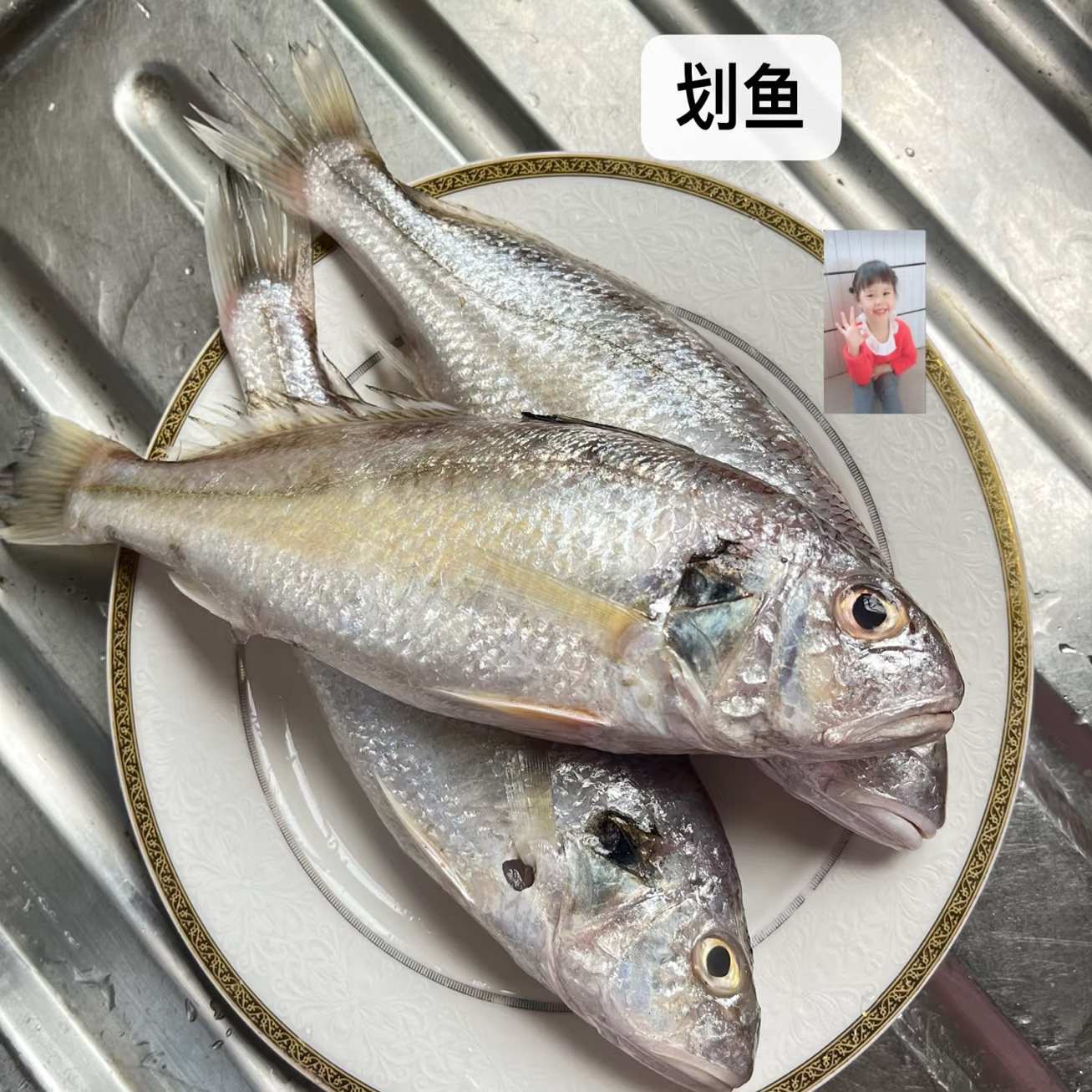 广东本港海捕捞杂鱼渔民打捞鲜活小鱼杂鱼活体活冻真空包装批发,淘宝优惠券,粉丝福利购,淘宝优惠卷