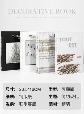 熙思简约现代黑白灰装饰彷真书 样板间售楼处客厅拍摄装饰摆件