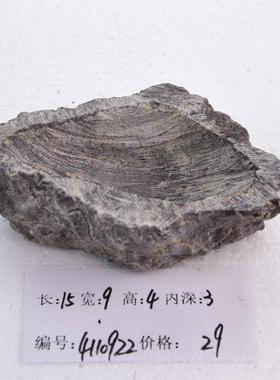 正品石头件花盆创意摆天然禅意多肉铜钱草菖赏蒲培容水器室内客厅