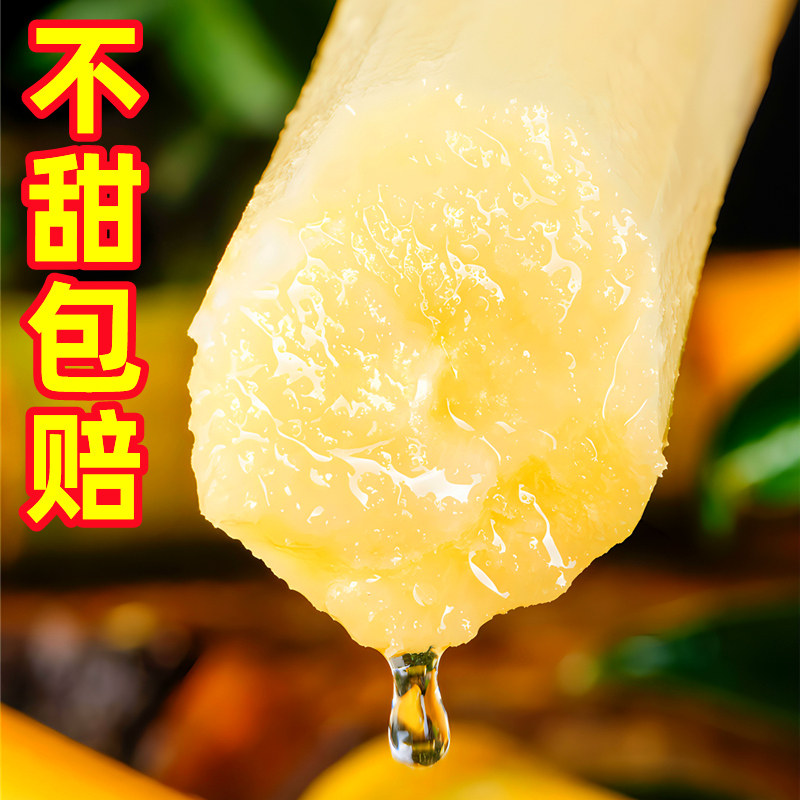 广西黄金甘蔗10斤新鲜应当季孕妇水果脆甜黑黄皮甘蔗特产整箱包邮,淘宝优惠券,粉丝福利购,淘宝优惠卷