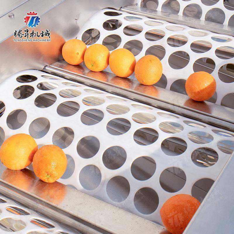 厂家直销水果筛选机滚筒蔬果大小分级机苹果橘子圆形水果分选机,淘宝优惠券,粉丝福利购,淘宝优惠卷