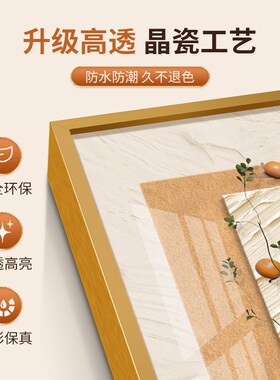 奶油风客厅装饰画2025新款沙发背景墙挂画大气三联壁画轻奢高级感