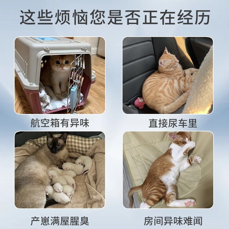 尿垫猫用猫咪专用外出一次性尿垫片宠物猫生产垫航空箱包隔尿垫子,淘宝优惠券,粉丝福利购,淘宝优惠卷