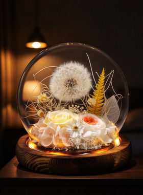 蒲公英永生花干花七夕送女生摆件