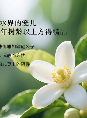 枕草子橙花单方精油纯净优雅净白肌肤安抚愤愁情绪释放快乐多巴胺