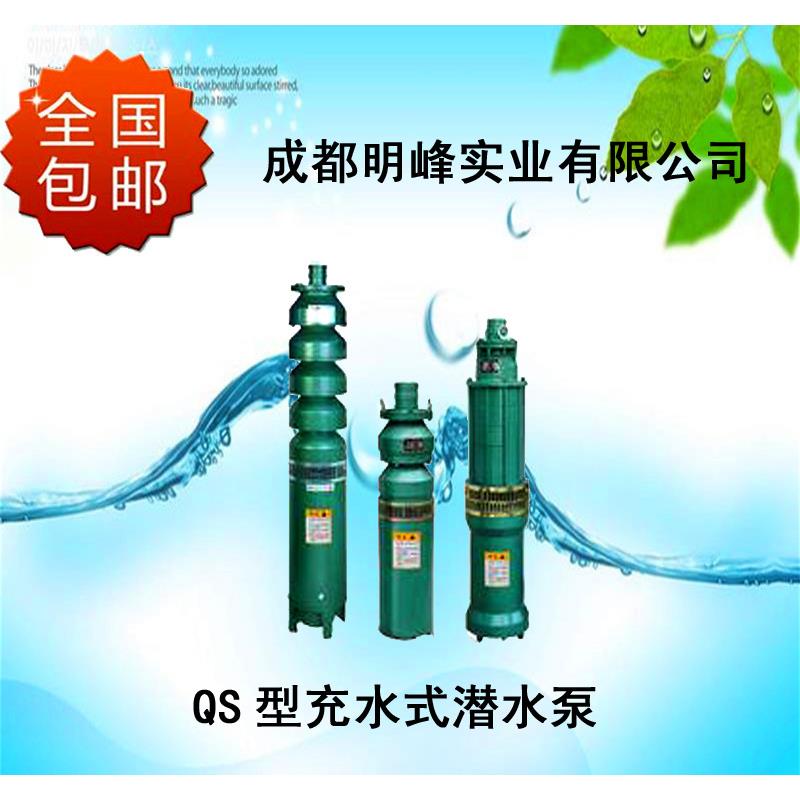 qs型充水式潜水电泵qs40-30/2-5.5c系列多级潜水电泵深井清水泵 - 图1