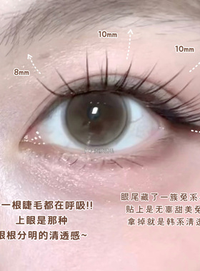 清透无辜兔系「樱桃兔兔」韩系束感假睫毛自然女团根根分明bb103