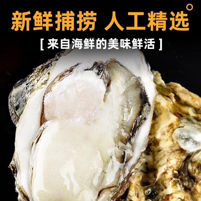 鲜活生蚝肉现剥生蚝新鲜特大牡蛎肉去壳纯蚝仔肉蛎蝗海鲜水产顺丰,淘宝优惠券,粉丝福利购,淘宝优惠卷