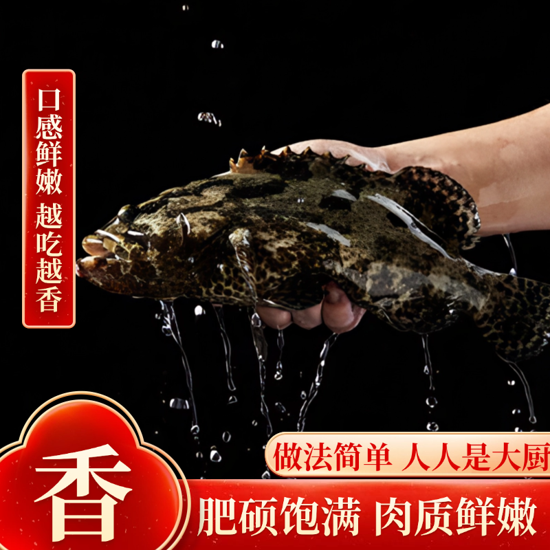 石斑鱼超大鲜活速冻深海鱼龙胆老虎斑龙趸珍珠斑海鲜水产石头斑,淘宝优惠券,粉丝福利购,淘宝优惠卷