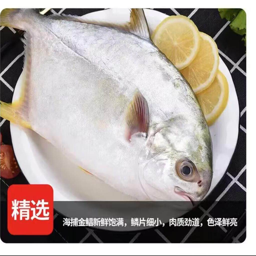金鲳鱼超大特大新鲜冷冻湛江鲜活新货平鱼鲳鳊鱼大金昌鱼海鲜水产,淘宝优惠券,粉丝福利购,淘宝优惠卷
