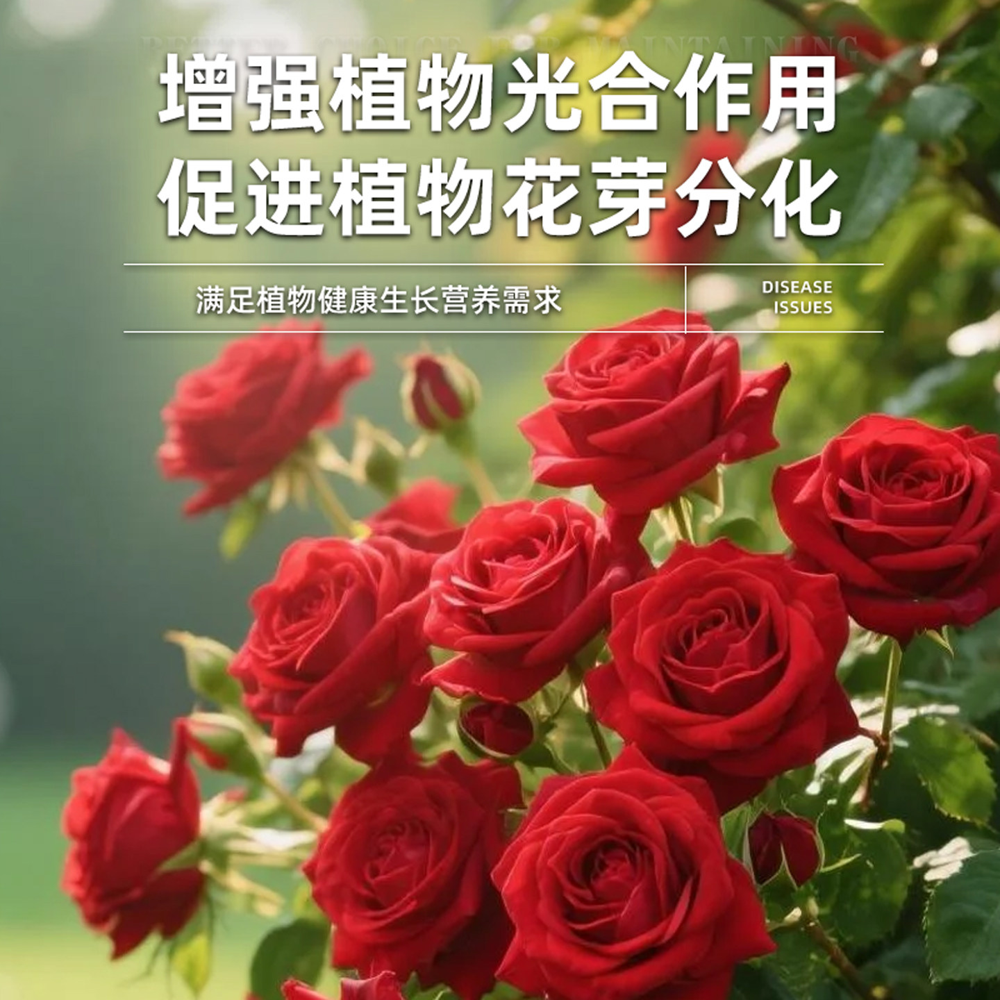 小分子有机营养液植物通用型家庭园艺促生长改善黄叶温和不伤根苗,淘宝优惠券,粉丝福利购,淘宝优惠卷