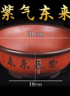 花盆大号特大号超大种树大花盆特深大口径以上室外庭院圆形加厚