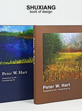 油画艺术样板房装饰书摆件书样板间茶几书房书柜真书装饰摆件