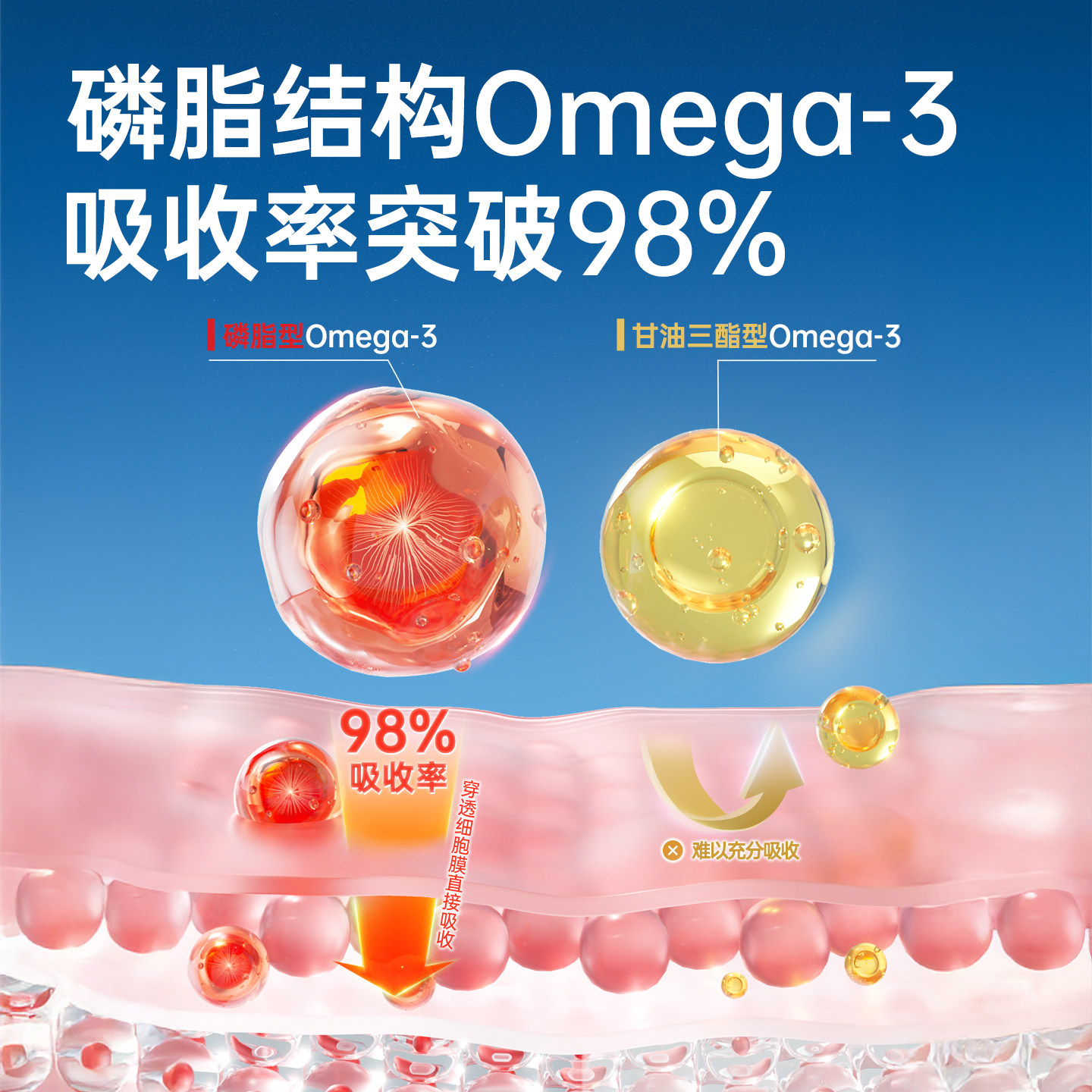 DLOVE 65%磷脂南极深海磷虾油猫用美毛护肤防掉毛鱼油卵磷脂1g/片,淘宝优惠券,粉丝福利购,淘宝优惠卷