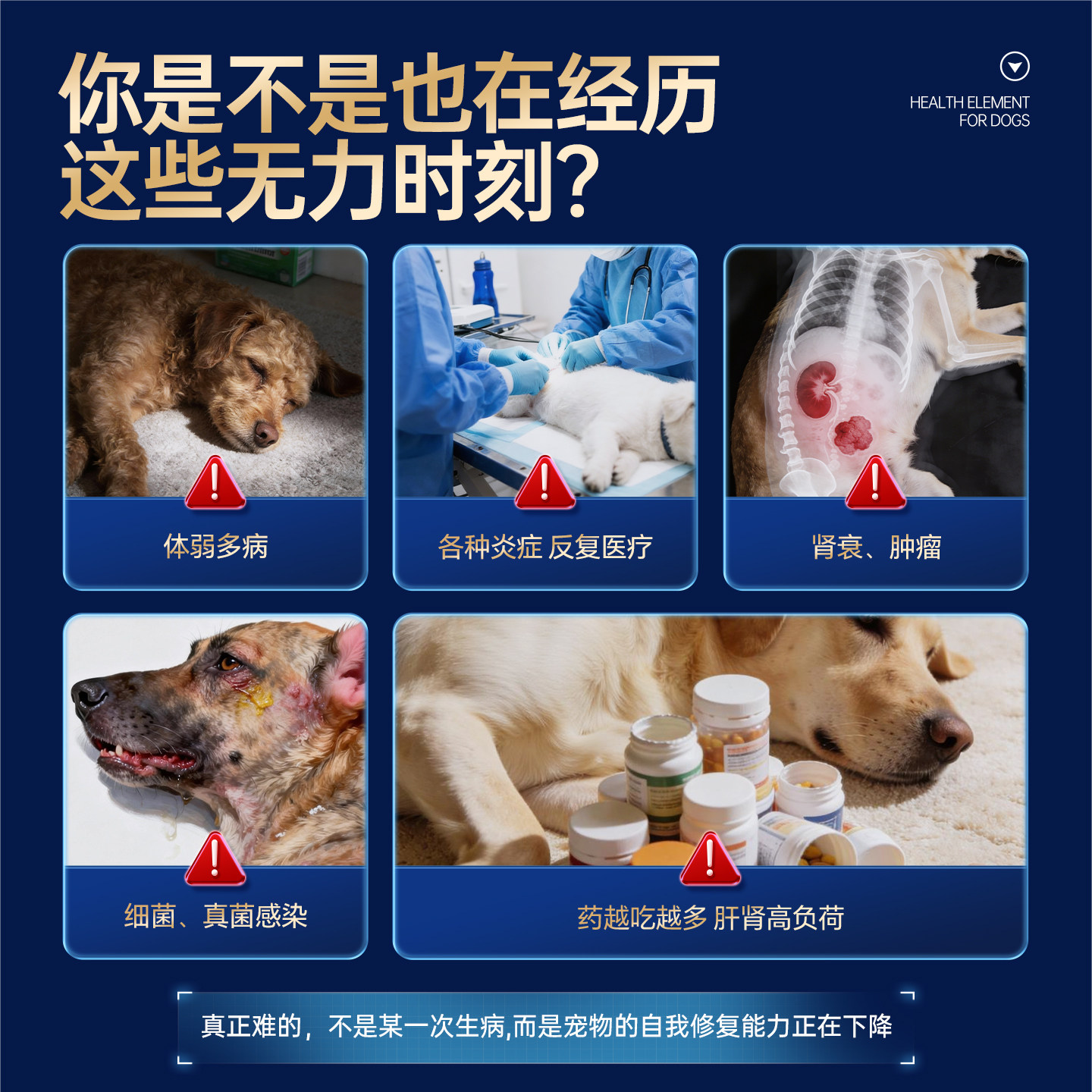 DLOVE【诺奖得主研发】修复肾衰抗肿廇病毒提高免疫乳铁蛋白狗猫,淘宝优惠券,粉丝福利购,淘宝优惠卷