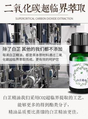 正品白芷单精油10ml超方临界草本植物取肌芳疗萃按摩护肤刮肤痧包