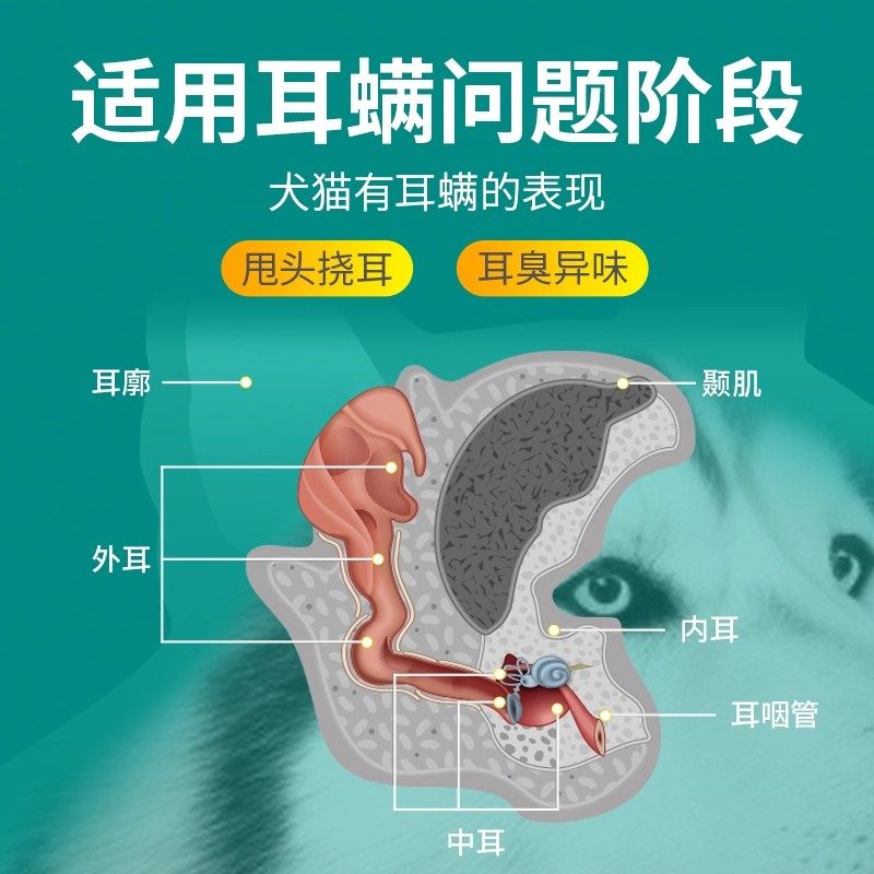 修正宠物清洁滴耳液猫咪狗狗耳螨消炎耳部清洁耳朵耳垢驱虫洗耳液,淘宝优惠券,粉丝福利购,淘宝优惠卷