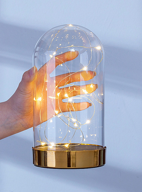 优选金属EVA防脱卡扣玻璃罩展示盒带灯ins防尘罩送闺蜜情人节生日