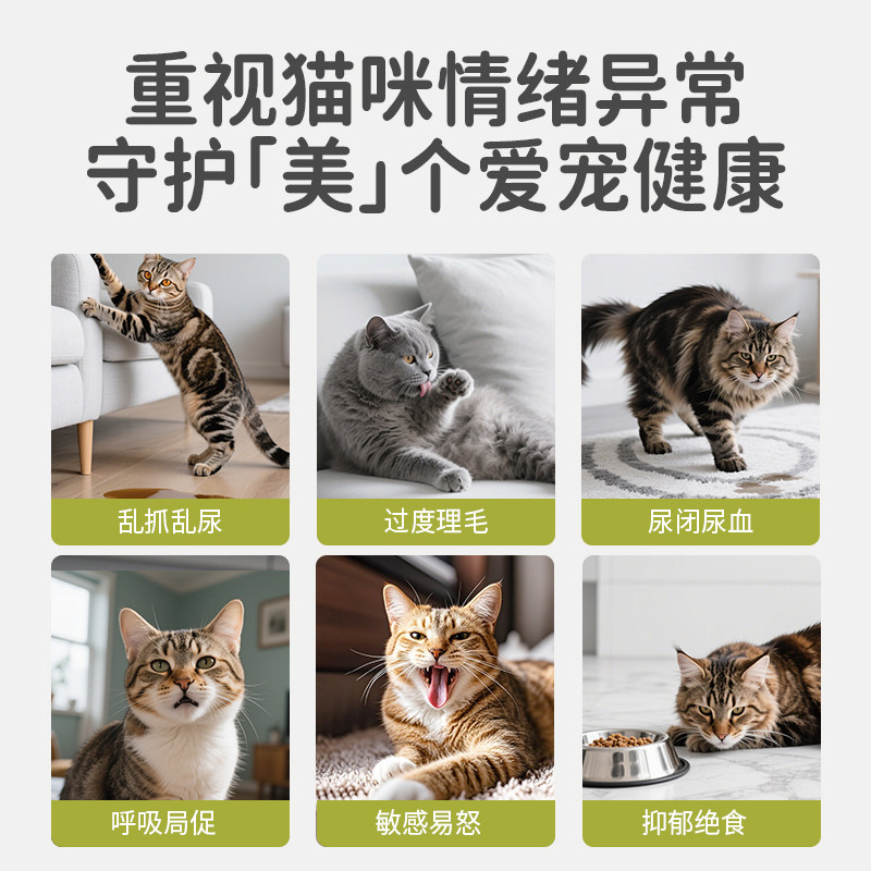 【天猫u先】petremedy绿美笛情绪舒缓安抚巾猫狗通用防应激湿巾,淘宝优惠券,粉丝福利购,淘宝优惠卷