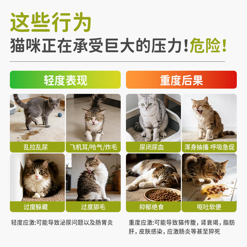 商品缩略图 2