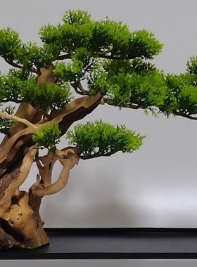创意家居客栈酒店餐厅茶室造微景观盆景摆设树根枯木仿真植物松树