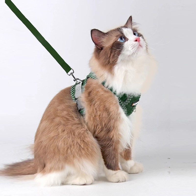 猫咪牵引绳防挣脱外出专用猫绳子宠物胸背带链子可调节布偶遛猫绳,淘宝优惠券,粉丝福利购,淘宝优惠卷