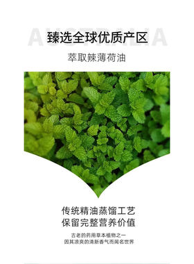 新疆伊帕尔汗清新复方避蚊香薰