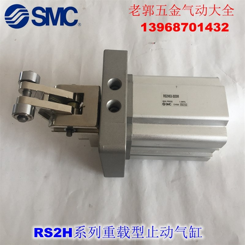 全新 RS2H50A TNA TFA-30DM DL BL BM TL TM-D DC重载止动气缸 - 图0